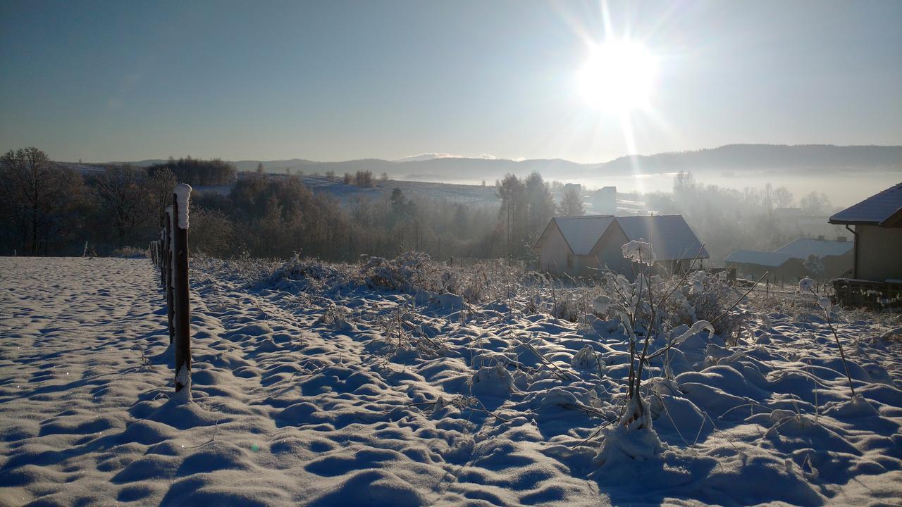 Apartamenty Żywiec Exteriör bild